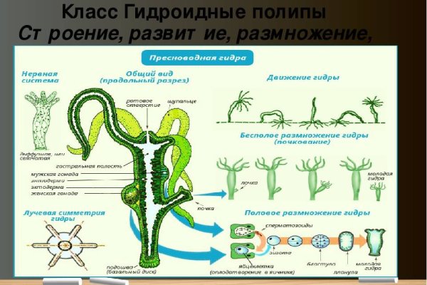 Не приходят деньги на кракен